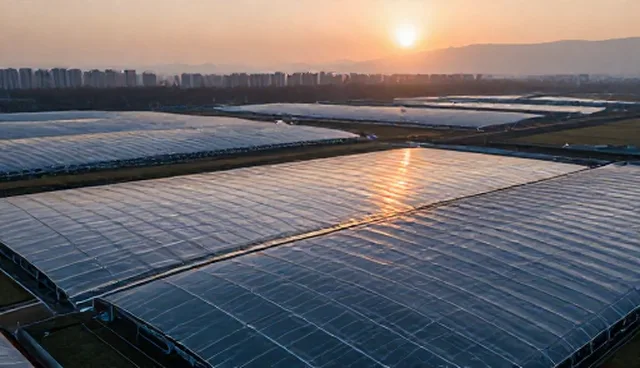 网络技术选型关注点：从需求分析到部署实施